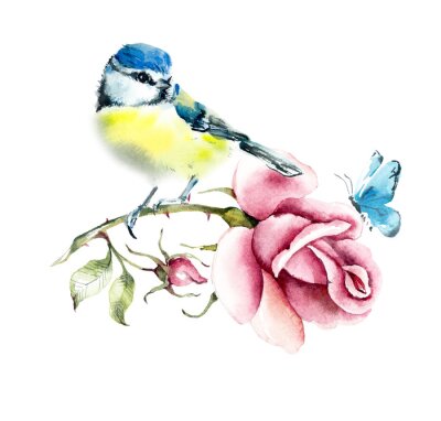 Sticker Eine Meise auf einem Rosenzweig