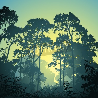 Sticker Eine Waldlandschaft mit Bäumen und Sonnenuntergang Sonnenaufgang