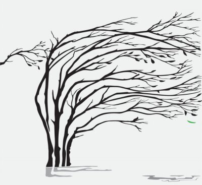 Sticker Eine Weide unter einem starken Sturm und Wind Wetter