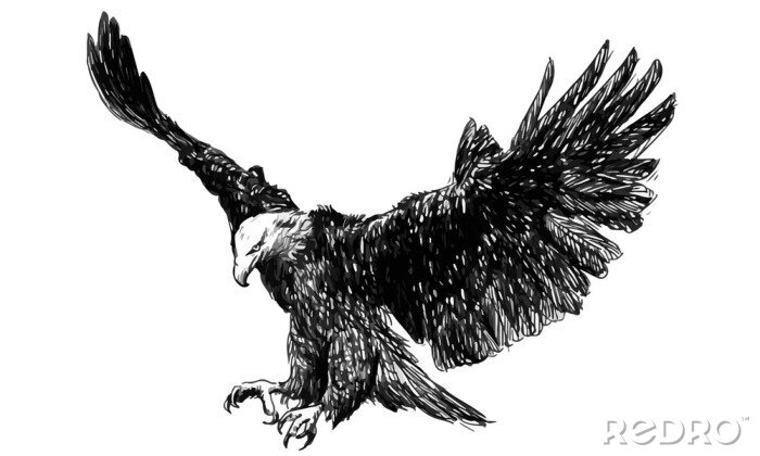 Sticker einfarbiger Adler mit ausgebreiteten Flügeln