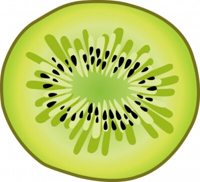 Sticker Einzelne Kiwi-Scheibe moderne Grafik