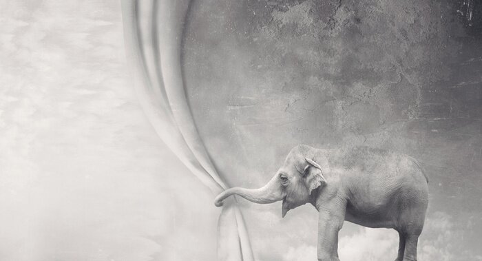 Sticker Elefant hält den Vorhang