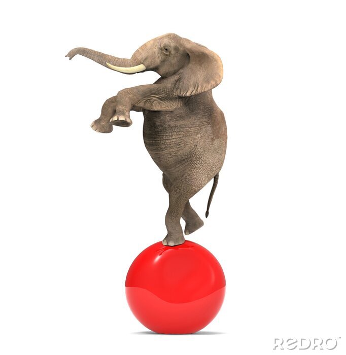 Sticker Elefant tanzt auf einem Ball