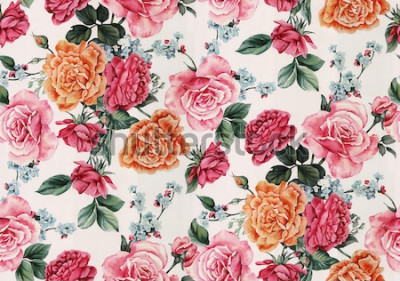 Sticker Englische Rosen in verschiedenen Farben