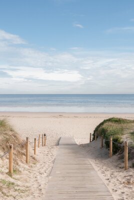 Sticker Entrada a la playa 02