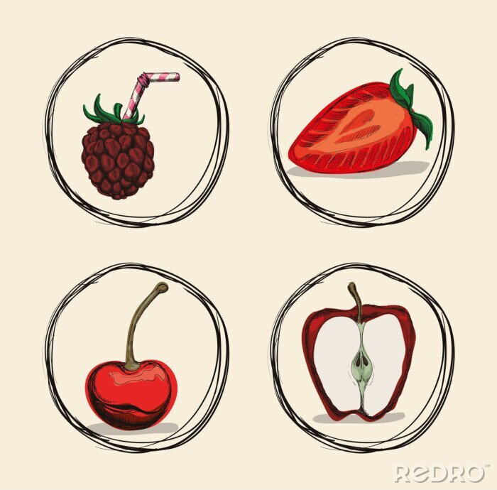 Sticker Erdbeere Apfel Kirsche und Himbeere Zeichnung