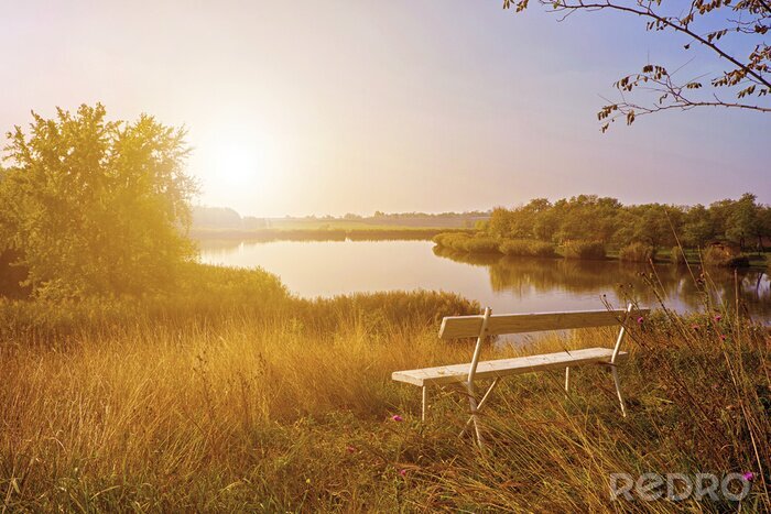 Sticker Erholung im Park