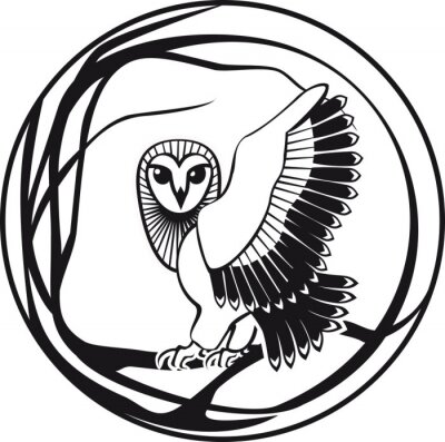 Eule schwarz-weiße Grafik