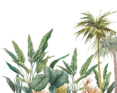 Sticker Exotische Baumkronen