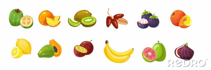Sticker Exotische Früchte Zeichnungen auf weißem Hintergrund