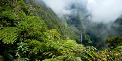 Exotische Pflanzen in den Bergen