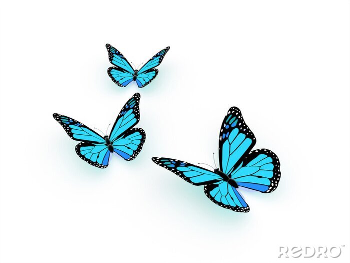 Sticker Exotische Schmetterlinge auf hellem Hintergrund
