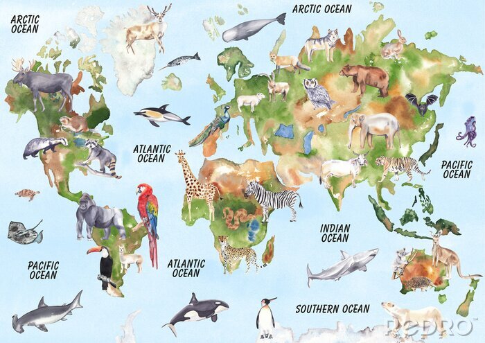 Sticker Exotische Tiere auf der Karte