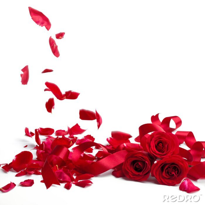 Sticker Fallende Blütenblätter von roten Rosen