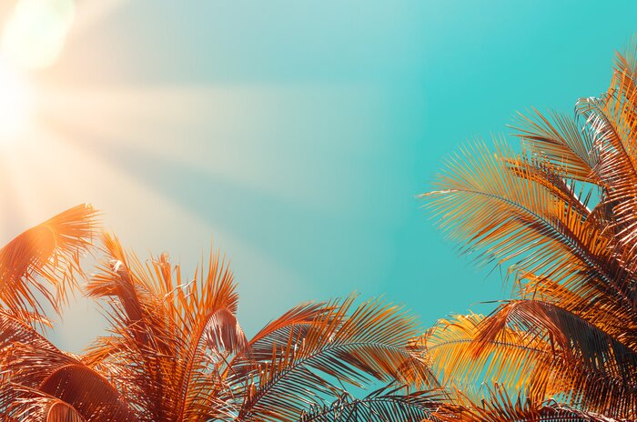 Sticker Farbige Palmenblätter