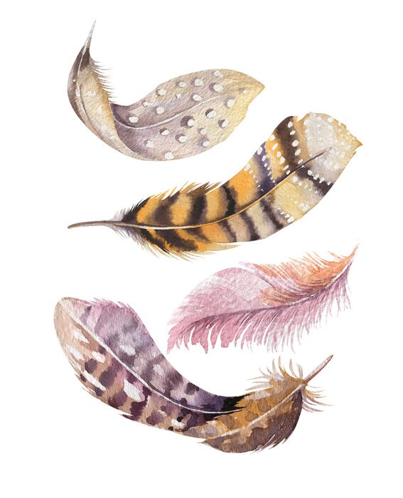 Sticker Federn mit Aquarellfarben gemalt