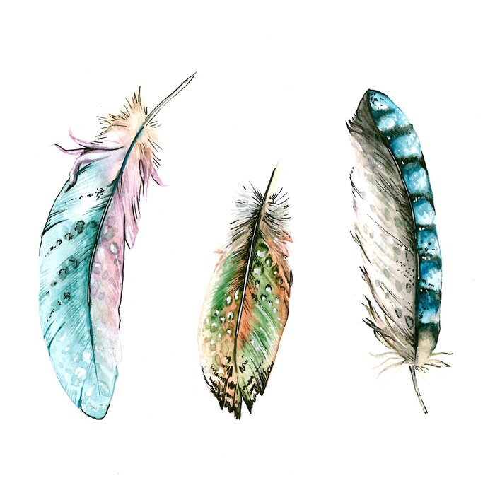Sticker Federn von Vögeln. Mehrfarbige Federn sind mit Aquarellfarben bemalt. Auf weißem isoliertem Hintergrund.