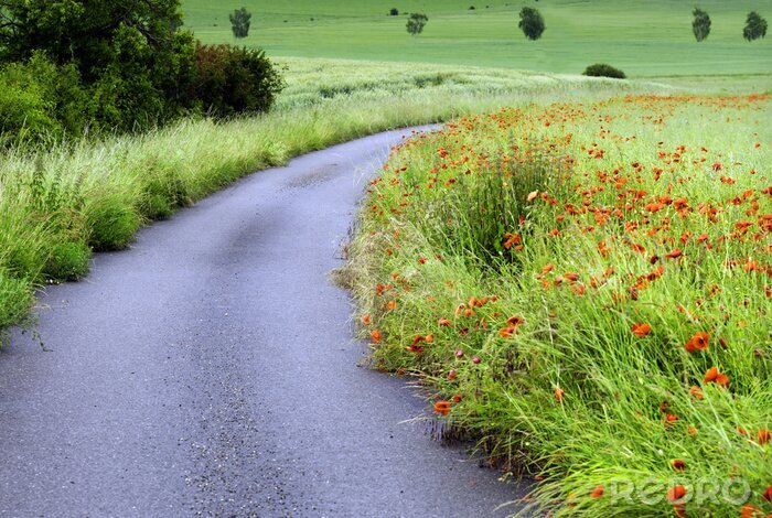 Sticker Feld und ein kleiner Fluss im Regen