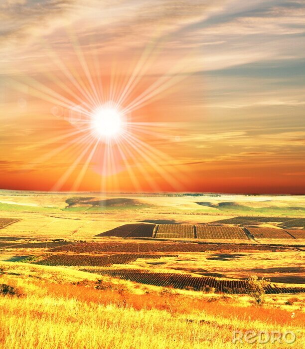 Sticker Feld und Sonnenstrahlen