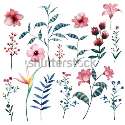 Sticker Feldblumen auf einer bunten Illustration
