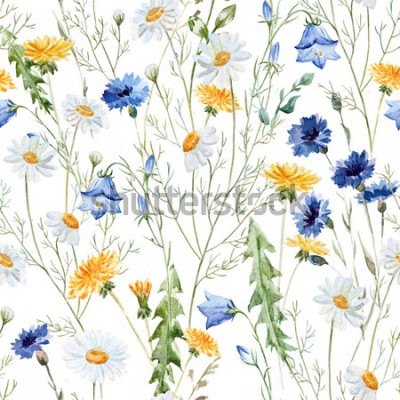 Sticker Feldblumen auf weißem Hintergrund