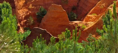 Felsen und Grün in Colorado
