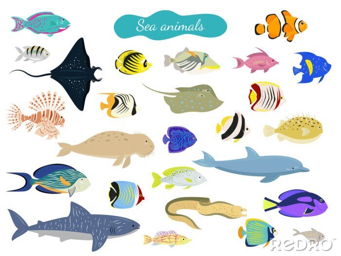 Sticker Fische Ozean bunte Meeresbewohner