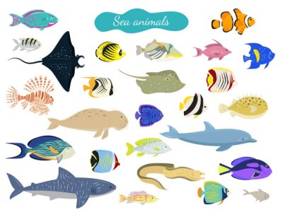 Sticker Fische Ozean bunte Meeresbewohner