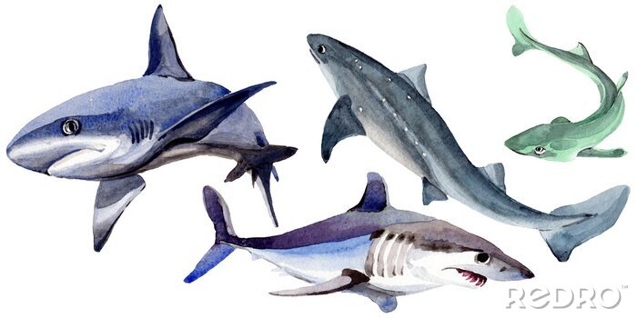 Sticker Fische Ozean verschiedene Arten Haie Aquarell
