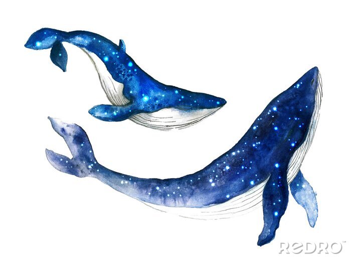 Sticker Fische Ozean Wale und Seesterne Reflexionen Aquarell