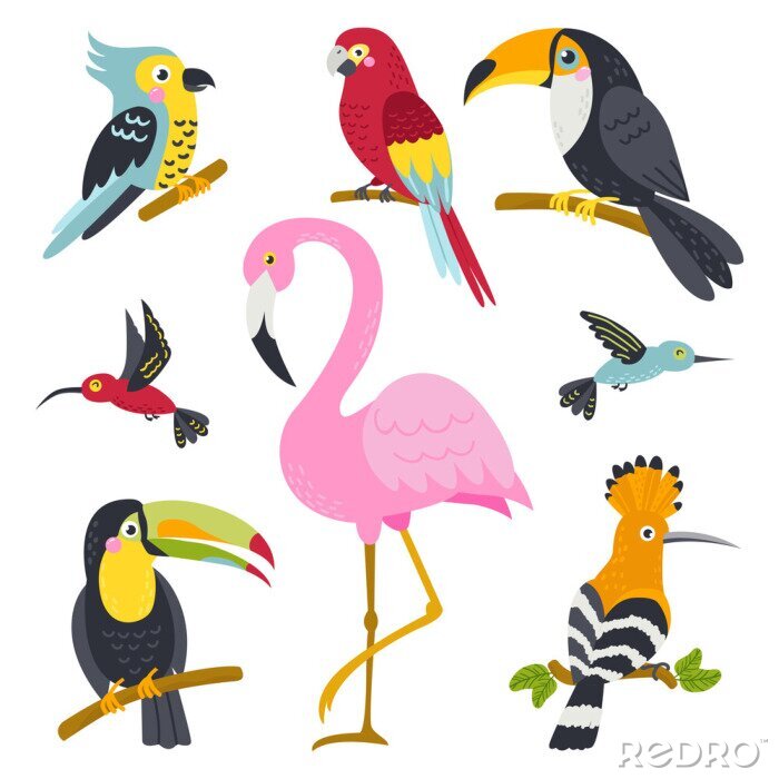 Sticker Flamingo und andere exotische Vögel