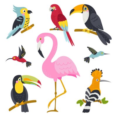 Sticker Flamingo und andere exotische Vögel