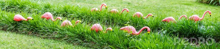 Sticker Flamingos zwischen grünen gräsern