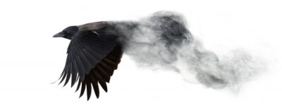 Sticker Fliegender Vogel, der sich in Rauch auflöst