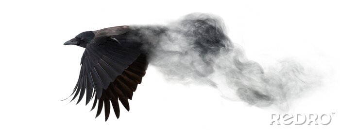 Sticker Fliegender Vogel, der sich in Rauch auflöst