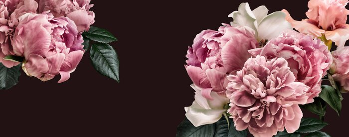 Sticker Floral banner, flower cover or header with vintage bouquets. Pink peonies, white roses isolated on black background.