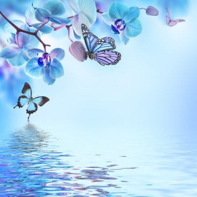 Sticker Floral Hintergrund der tropischen Orchideen und Schmetterling