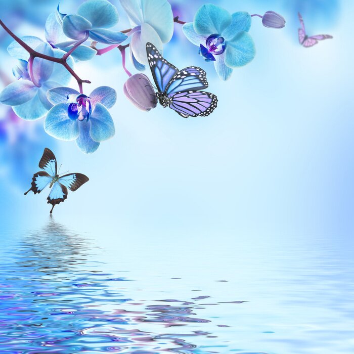 Sticker Floral Hintergrund der tropischen Orchideen und Schmetterling