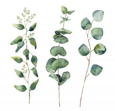 Sticker Floral Illustration isoliert auf weißem Hintergrund.