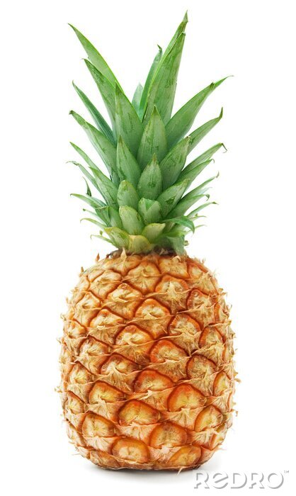 Sticker Foto einer reifen Ananas auf weißem Hintergrund