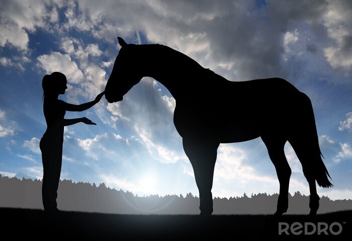 Sticker Frau und Pferd in Sonnenstrahlen