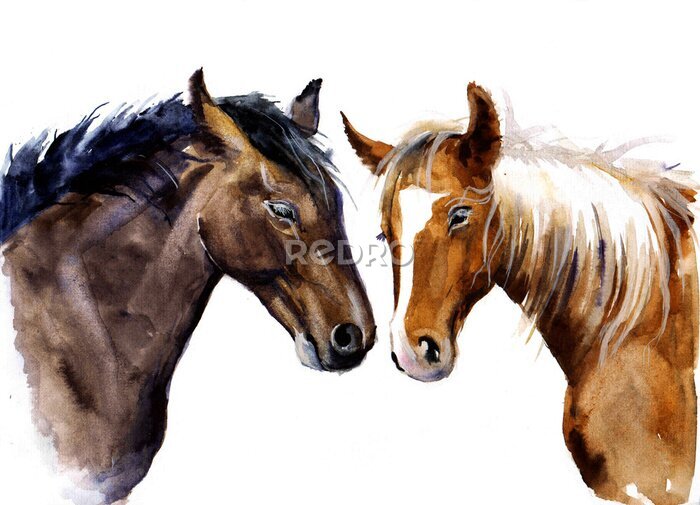 Sticker Freundschaft der Pferde