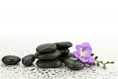 Sticker Frezja na kamieniach tun Masażu