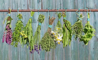 Frische Kräuter vor dem Hintergrund rustikaler Bretter