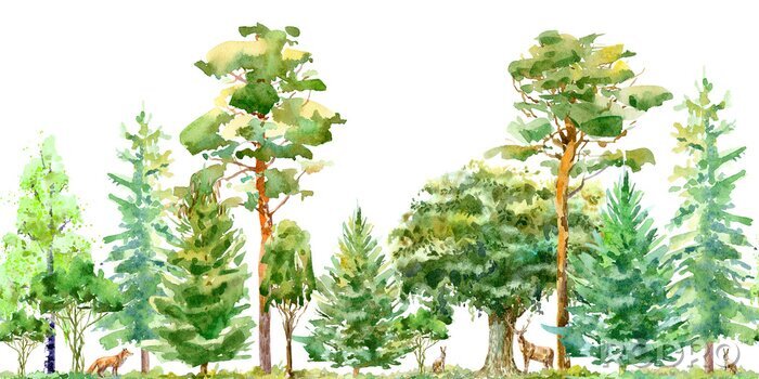 Sticker Frühlingsbäume in einem europäischen Wald