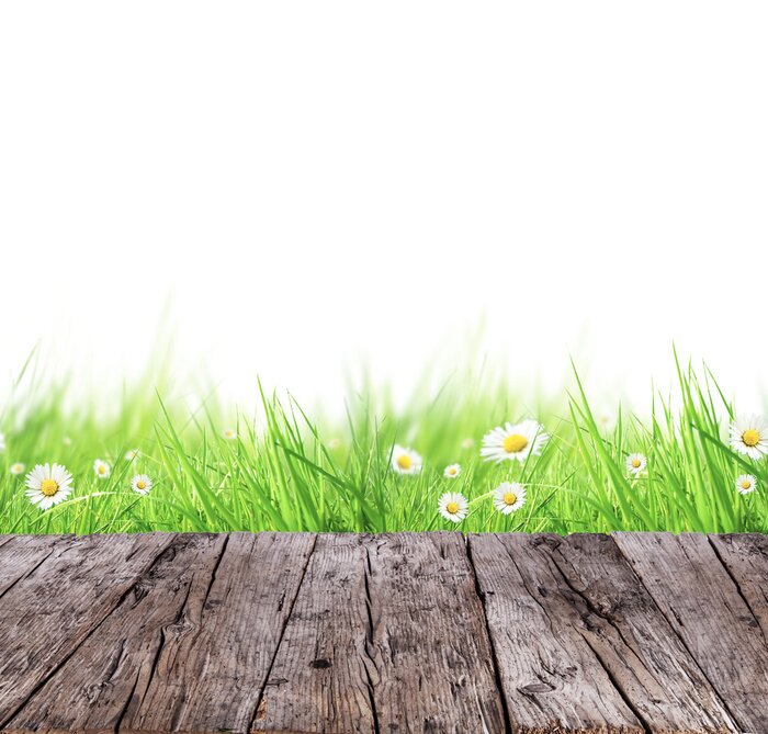 Sticker Frühlingswiese Konzept mit Holzbohlen und weißen Hintergrund