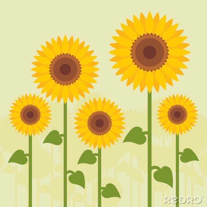 Sticker Fünf Sonnenblumen auf einer Illustration