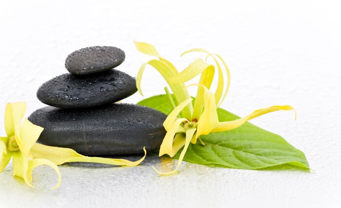 Sticker Galets zen et fleur d'Ylang-Ylang