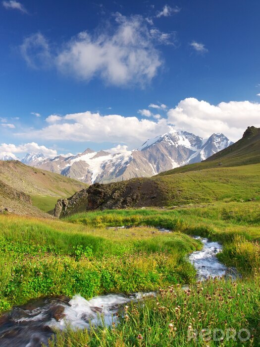 Sticker Gebirgsbach und Wiese