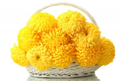 Sticker Gelbe Blumen in einem Korb